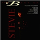 Stevie B - The Best Of Stevie B